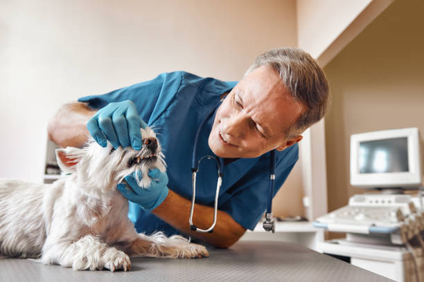 Best Tooth Pain Emergency Relief  in Connersville, IN